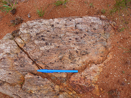 Figure 3 Example of the newly defined Branson Well Quartzite which is primarily composed of quartz with minor feldspar, sillimanite, magnetite and garnet. The quartzites are pale grey and medium- to coarse-grained with a poor, variably developed, centimetre-scale layering (likely bedding) defined by grain size variation. (Photo 415776)