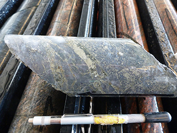Figure 11 Common disseminated and veined pyrite within quartz&ndash;sericite-altered felsic rock, MSDP12, 94.25 m. The assayed interval 93.7&ndash;94.5 m contained elevated Au, Ag, Pb and Zn. (Photo 416131)