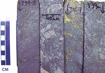 Figure 9 Mesoproterozoic iron metasomatite (~35% Fe, 0.23% Cu), drillhole DD86EN43, 302 m, Manxman A1 prospect. (Photo 048716)