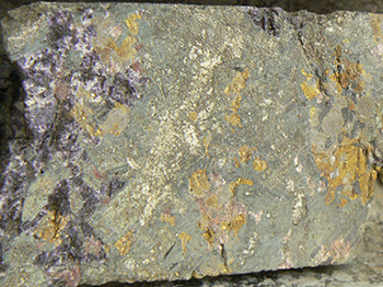 Figure 3f Coarse-grained amphibole–pyroxene–sulfide–fluorite(–gold) skarn. Dull green amphibole, lustrous yellow chalcopyrite, purple fluorite. Drillhole GHDD01, 952 m. (Photo 416635)