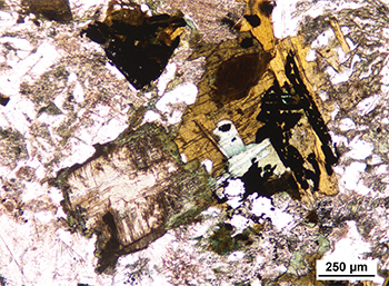 Figure 5c Yellowish brown biotite grown on magnetite (right) next to clinopyroxene marginally replaced by hornblende (left). (Sample 2014838, plane-polarised light; photo 416696)