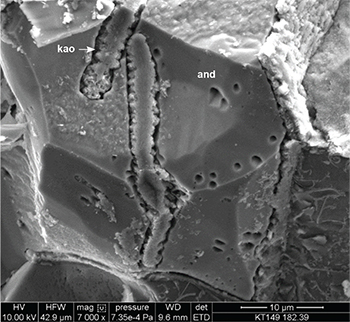 Figure 6 Electron micrograph of dissolution features in andalusite partially infilled with kaolinite.