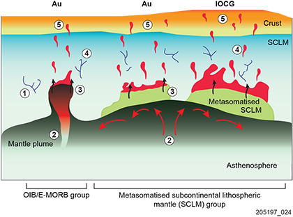 Figure 6 Conceptual model for the formation of c. 1590 Ma Gawler Craton Au and IOCG mineral systems.
