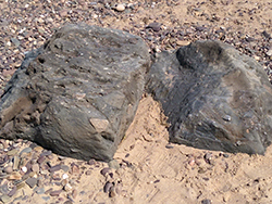 Figure 6 Erratics of Sturt Tillite, Hallett Cove beach.