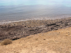 Figure 29 Drag fold adjacent to bedding-plane slip in thinly bedded siltstone of the Brachina Formation on shore platform.