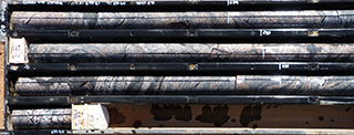 Figure 6(b) Diatexite with folded melanocratic schollen and schlieren.