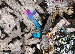Figure 9(c) Photomicrograph of the dolerite from CDP002.