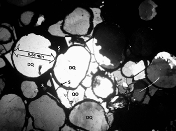 Figure 11(c) Photomicrograph of Whyalla Sandstone.
