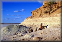 palygorskite_garford