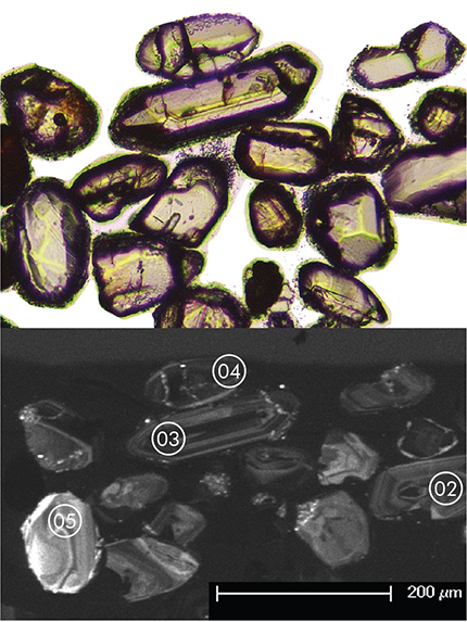 Figure 5 Representative zircons from sample 2116187 shown under plane-polarised light (top) and CL (bottom). Circles indicate analytical sites and corresponding analysis numbers.