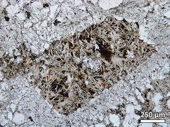Figure 14a Photomicrograph of feldspar crystal replaced by white mica, quartz and hematite. (Plane-polarised light; sample 2136021; photo 416285)