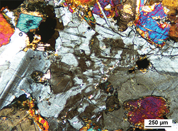 Figure 5d Micrographic quartz–K-feldspar intergrowth with acicular apatite inclusions interstitial to clinopyroxene and plagioclase. (Sample 2014867, cross-polarised light; photo 416697)