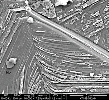 Figure 7 Electron micrograph of topotactic crystallisation of kaolinite on biotite.