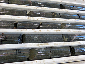 Figure 2a Aphanitic basaltic dyke with quartz veining.