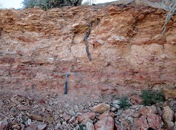 Figure 3e Variably mottled, vaguely horizontally bedded, medium-grained kaolinitic sandstone.