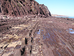 Figure 11 Sandstone interbeds north of Black Cliff, Hallett Cove beach.