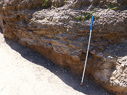 Figure 17 Slump fold in glaciolacustrine shale, Cape Jervis Formation.