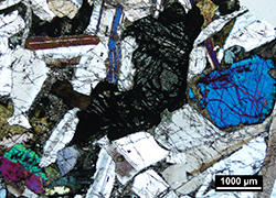 Figure 9(d) Photomicrograph of the more equigranular dolerite from CPD002.