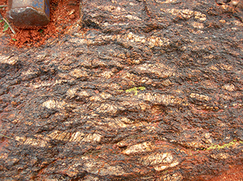 Figure 3f Aurora Tank Suite tabular feldspar granite, cropping out north of Commonwealth Hill outstation.