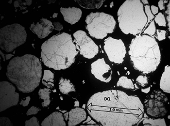 Figure 11(d) Photomicrograph of Whyalla Sandstone.