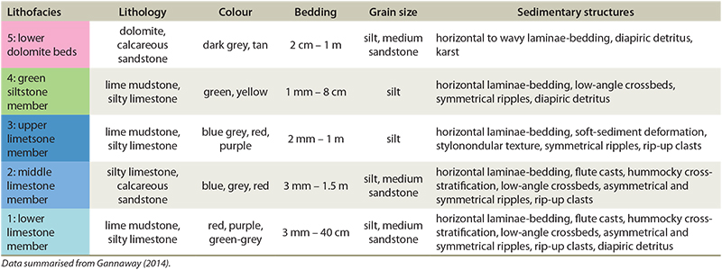 Summary of suprasalt sedimentological characteristics