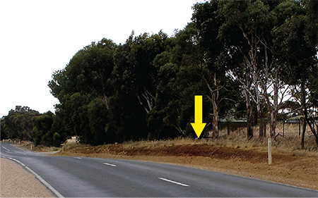 Discovery outcrop along the Strathalbyn to Callington road.