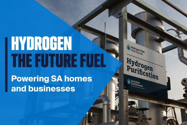 Hydrogen - the future fuel