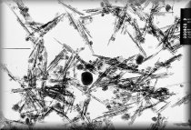 palygorskite_tem