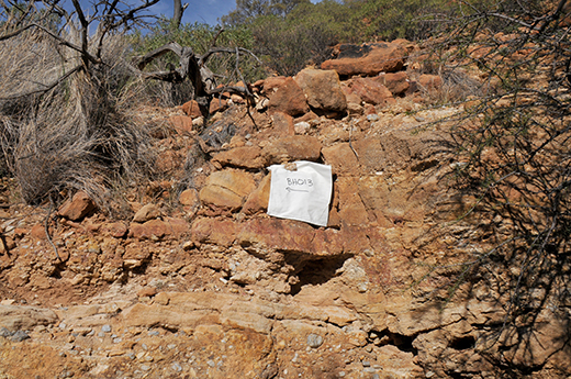 Figure 4 Tunnel Hill sample location, interpreted as Namur Sandstone. (Photo 415912)