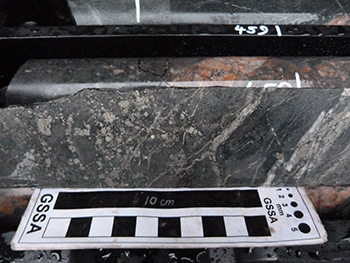 Figure 13 Pyrite-rich alteration zone within variably brecciated, chloritised and silica-altered, fine-grained rock, MSDP12, 392.8 m. (Photo 416132)