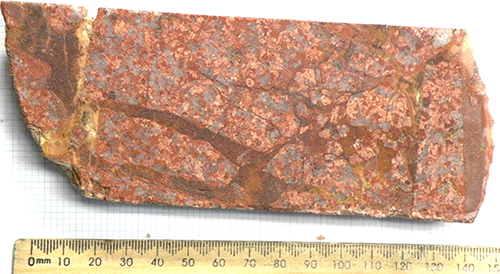 Figure 6a Breccia and fracture vein textures, Samphire granite, red granite domain. MRM762, 114.57–114.72 m. (Photo 416223)