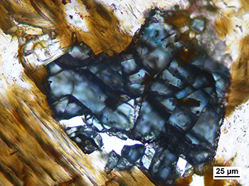Figure 14b Photomicrograph of blue anatase crystal within altered biotite. (Plane-polarised light; sample 2136021; photo 416286)