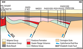 Figure 2 Conceptual SW–NE geological cross-section through the Punt Hill region.