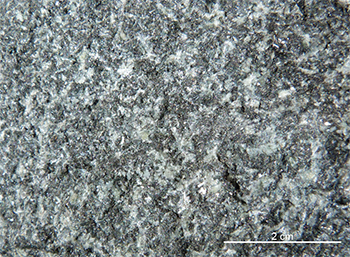 Figure 3c Fresh dolerite sampled from a dyke ESE of Marryat Railway Station. (SA Geodata rock sample 2014838; photo 416688)