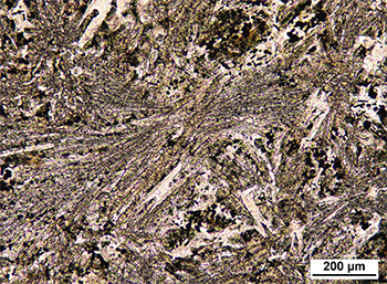 Figure 4d Subradiating sheaves of clinopyroxene quench crystals intergrown with acicular plagioclase microlites. (Sample 2014963, plane-polarised light; photo 416693)
