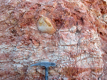 Figure 3f Isolated, well-rounded quartzite clast within mottled sandstone.