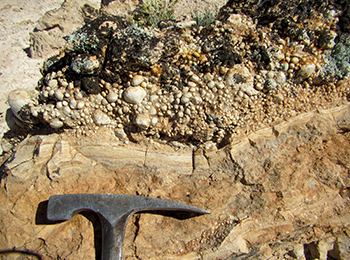 Figure 6b Silcrete profile showing succession from bottom to top.