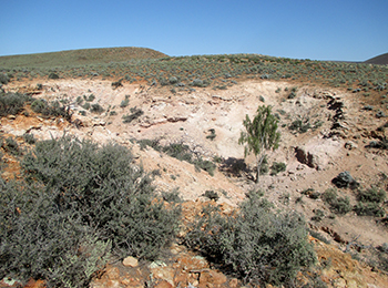 Figure 9a Gully exposure of white kaolinitic sandstone.