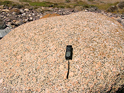 Figure 15 Erratic of Encounter Bay Granite, Hallett Cove beach.