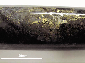 Figure 4b Gold-bearing leucosome within the Christie Gneiss at Challenge.