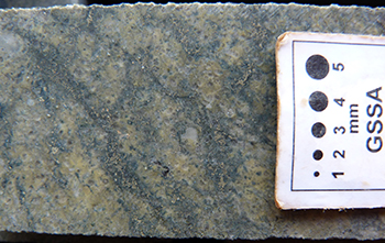Figure 9a Diffuse network of chlorite&ndash;pyrite veins within sericite altered, quartz-phyric rhyolite, 475 m. (Photo 416128)