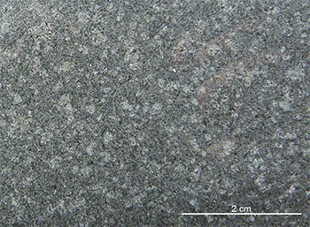 Figure 3d Spotty appearance of dolerite due to subophitic texture, Mundy Dam area. (Sample 2014847; photo 416689)
