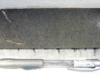 Figure 2c Plagioclase–quartz–biotite–hornblende–chlorite diorite.