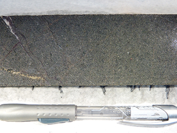 Figure 2c Plagioclase&ndash;quartz&ndash;biotite&ndash;hornblende&ndash;chlorite diorite.