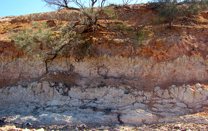 Figure 5a Silcrete columns formed within the Sugarloaf Dam Sandstone.