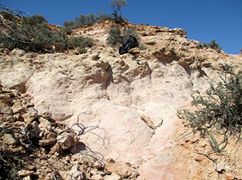 Figure 9b Gully exposure of white kaolinitic sandstone.