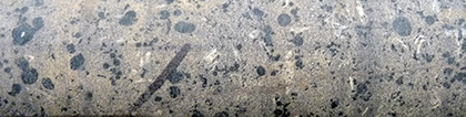 Figure 10(b) Amygdaloidal basalt with chlorite-filled vesicles and feldspar phenocrysts.