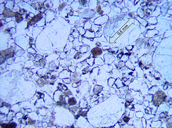 Figure 7(a) Photomicrograph of Whyalla Sandstone.