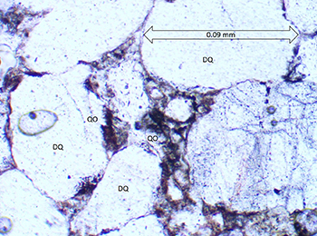 Figure 12(b) Photomicrograph of Whyalla Sandstone.