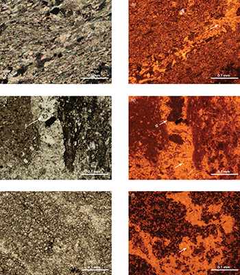 Photomicrographs of lithofacies from inclusion 3, Patawarta Diapir.